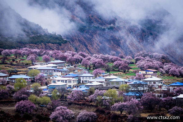 一個(gè)人去拉薩有多危險(xiǎn)